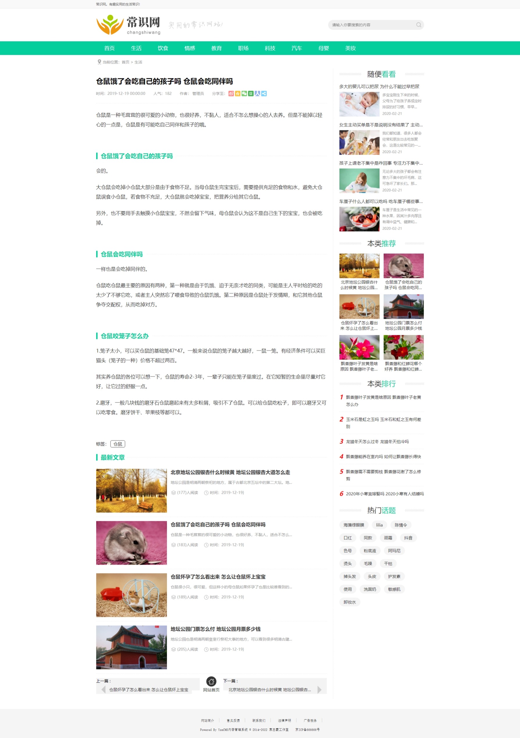 自媒體新聞資訊類網(wǎng)站模板for YZMCMS V6.5